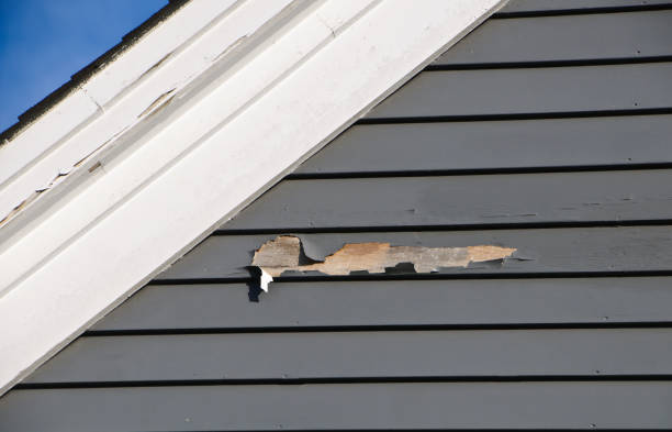 Property Management Cleanouts in Roan Mountain, TN